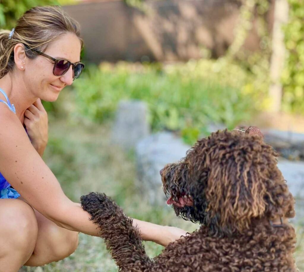 Lagotto romagnolo kutyaszitterrel